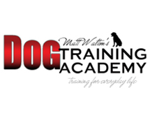 Matt Waltons Dog Training Academy