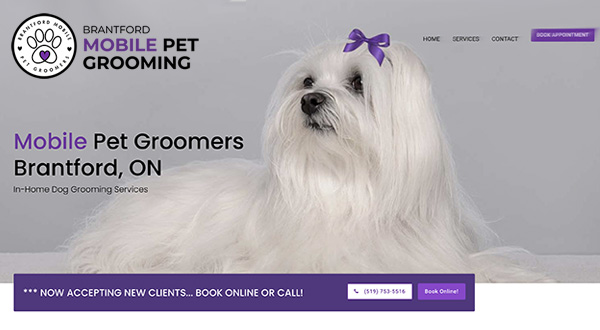 Brantford Mobile Pet Grooming